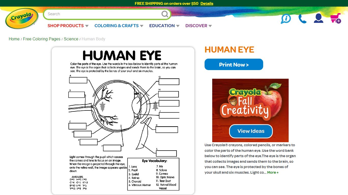 Human Eye Coloring Page | crayola.com