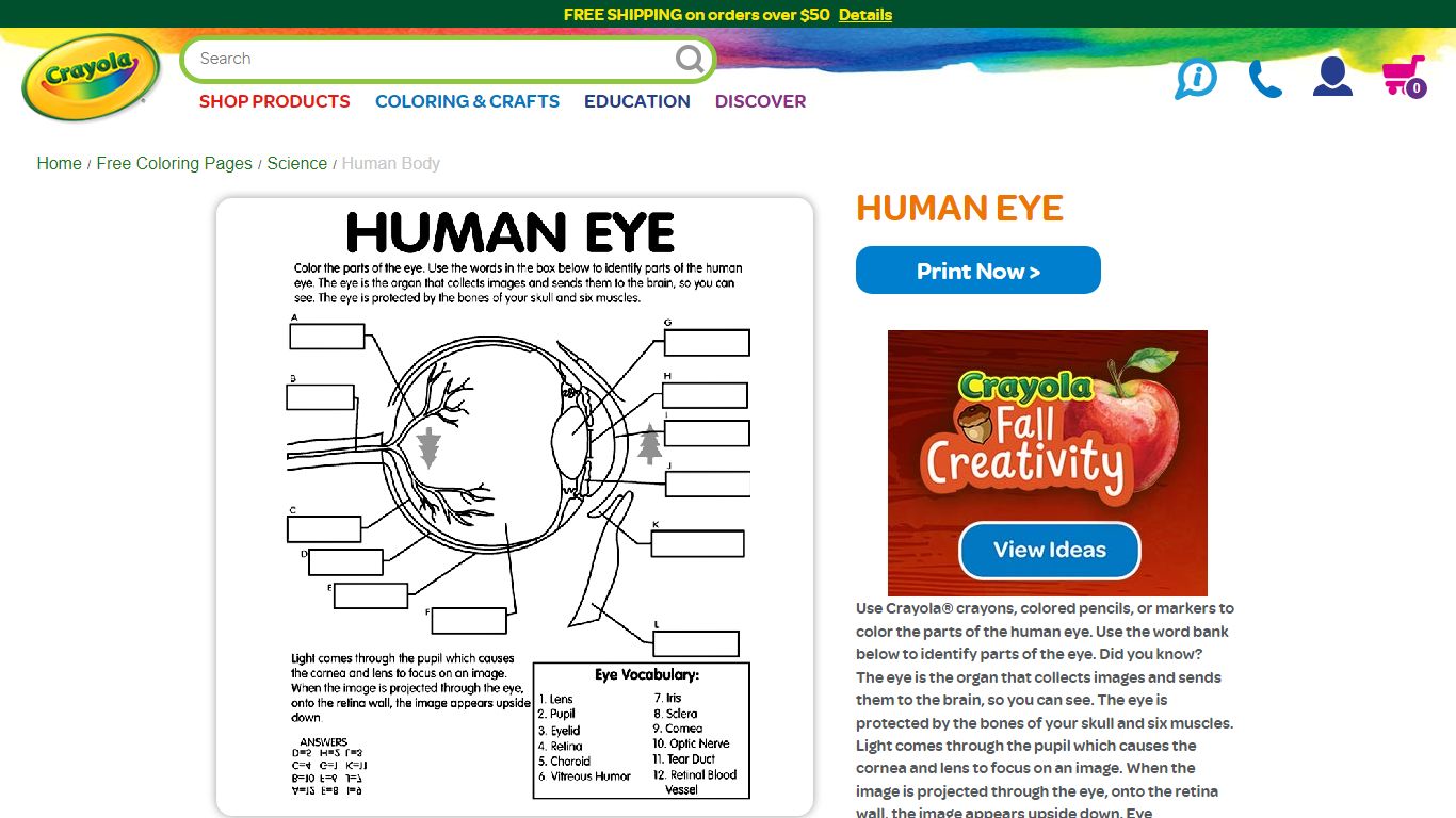 Human Eye Coloring Page | crayola.com